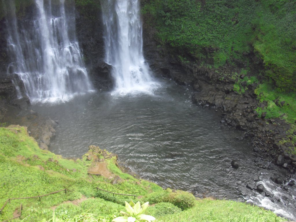 Image CIMG2297.JPG