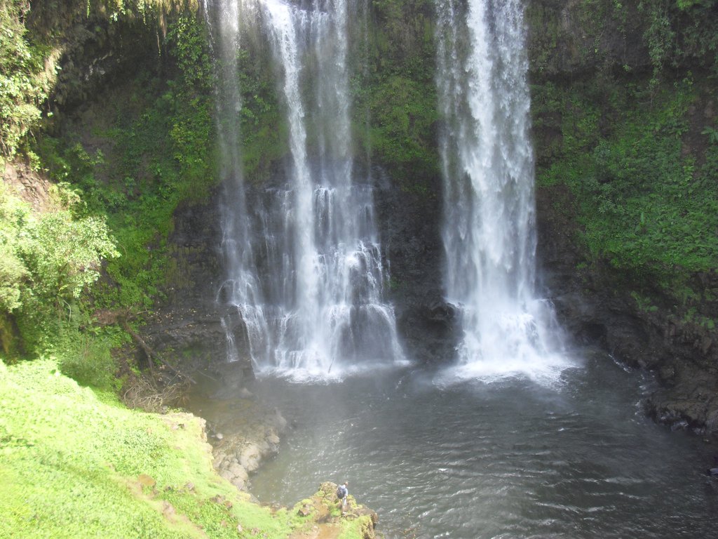 Image CIMG2301.JPG