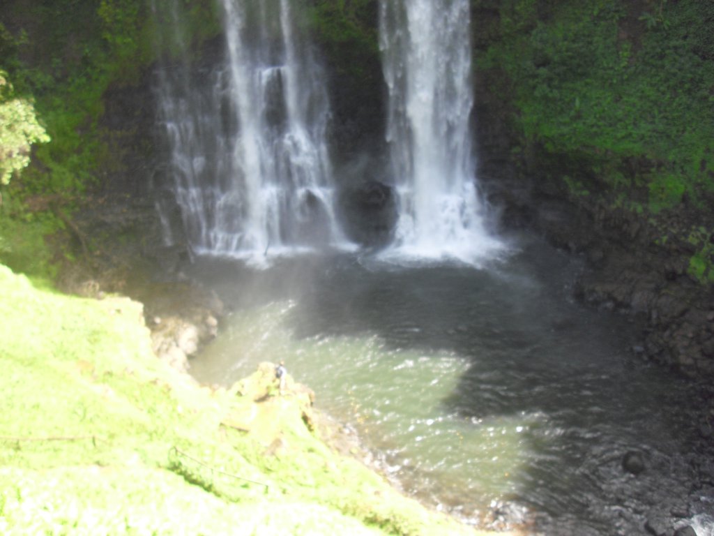 Image CIMG2303.JPG
