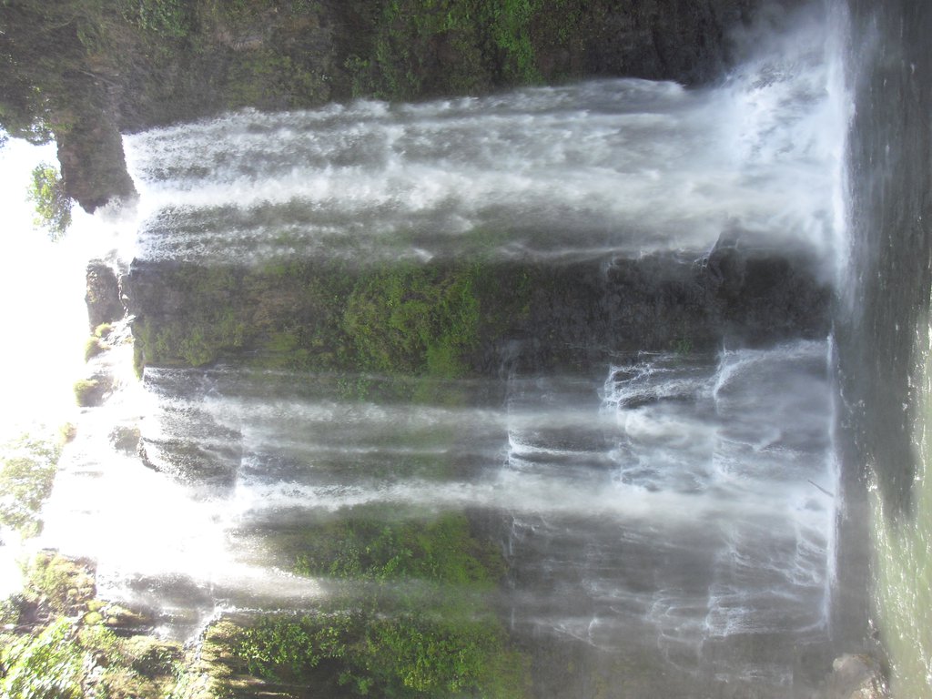 Image CIMG2304.JPG