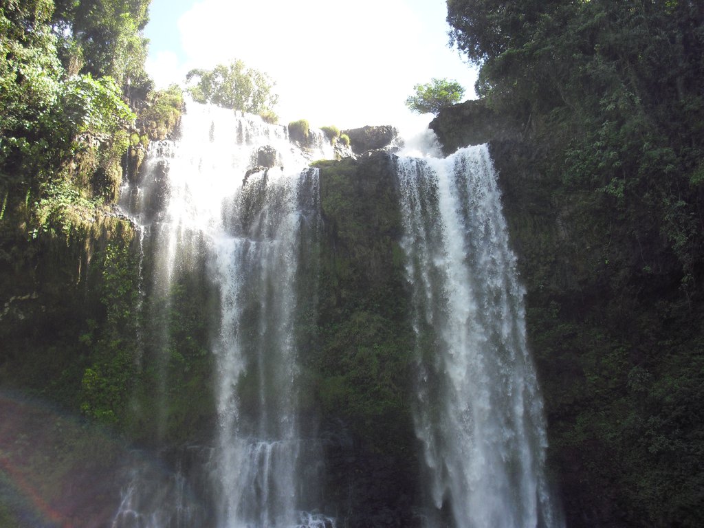 Image CIMG2305.JPG