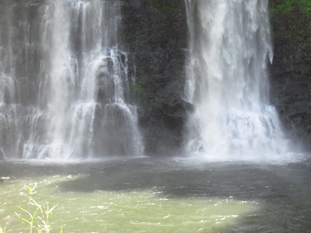 Image CIMG2306.JPG