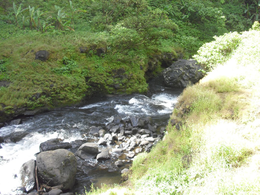 Image CIMG2308.JPG