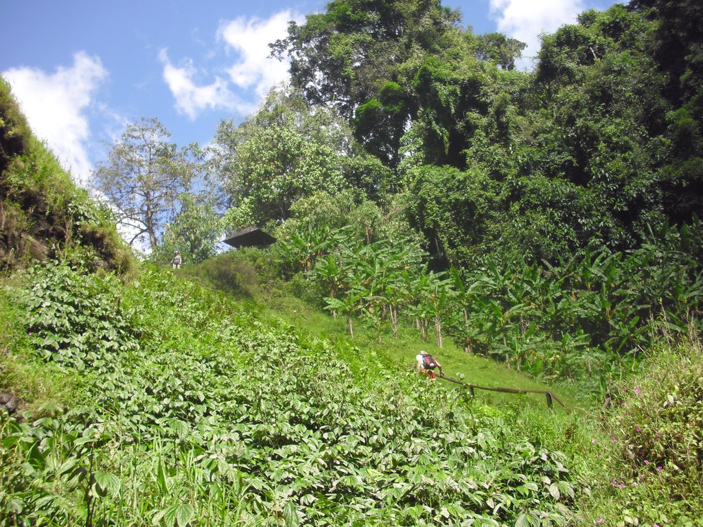 Image CIMG2309.JPG