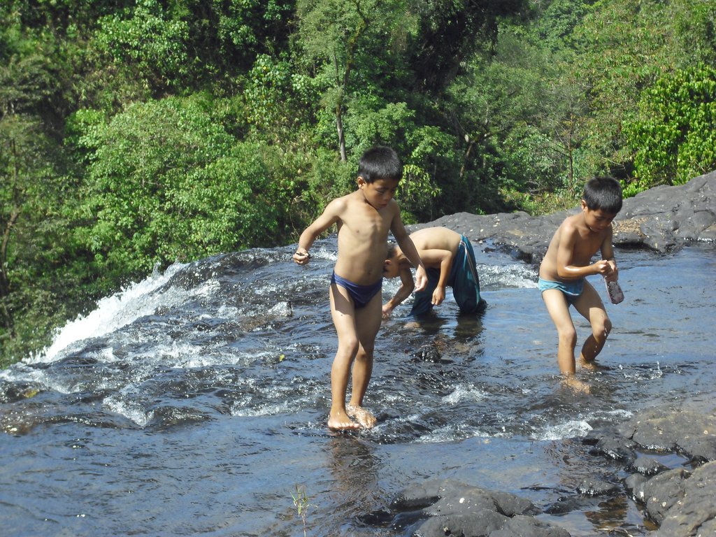 Image CIMG2313.JPG