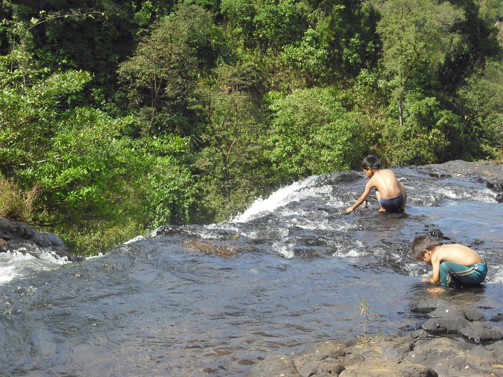 Image CIMG2314.JPG