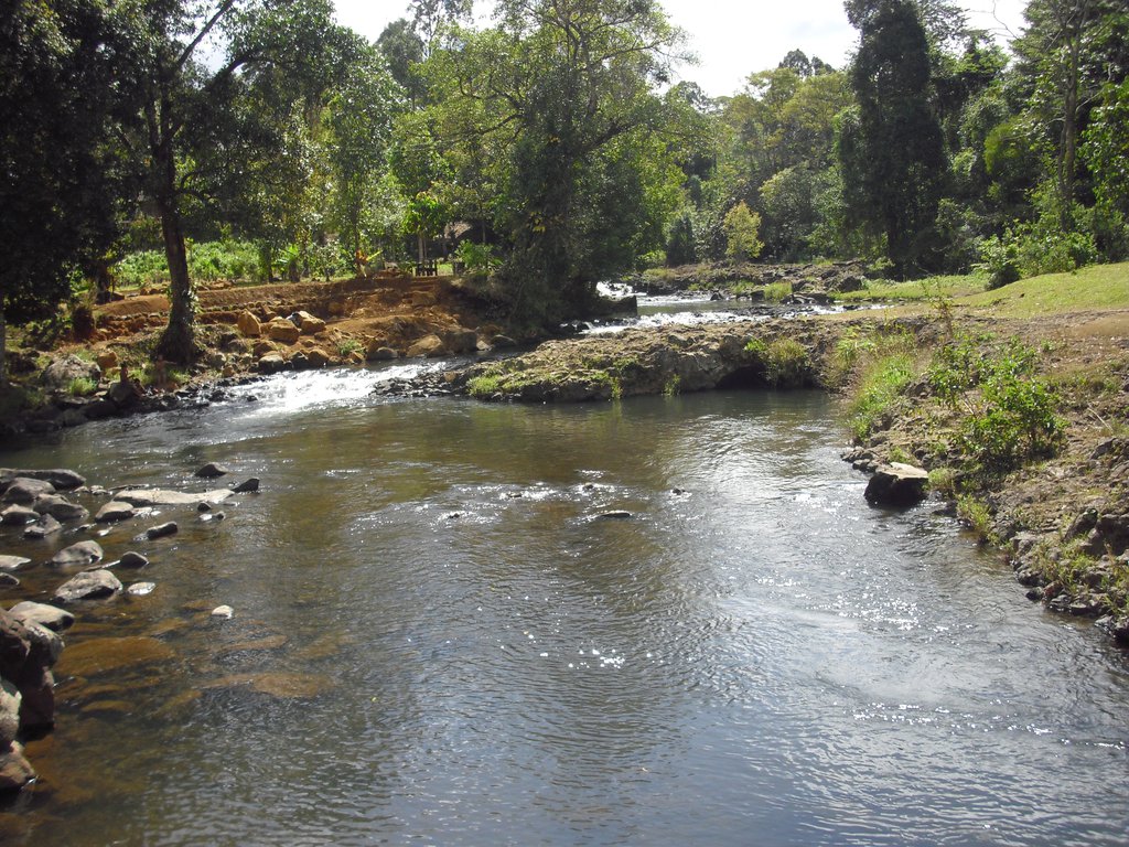 Image CIMG2315.JPG