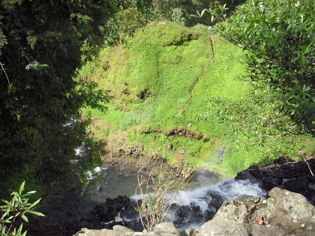 Image CIMG2318.JPG