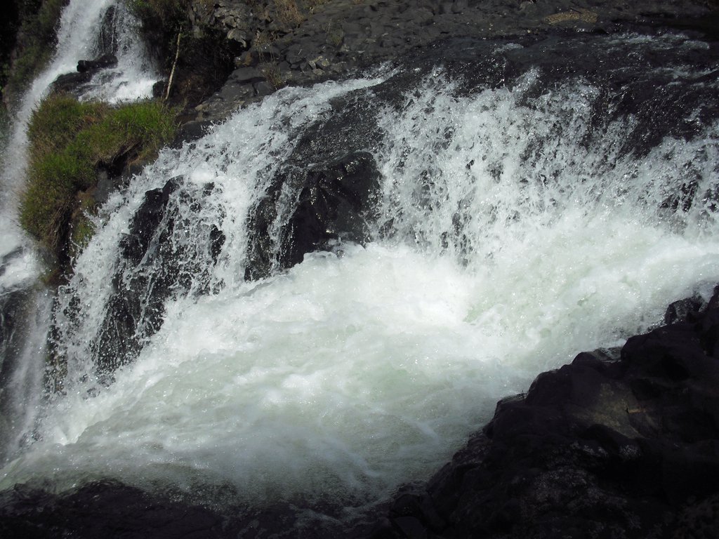 Image CIMG2319.JPG