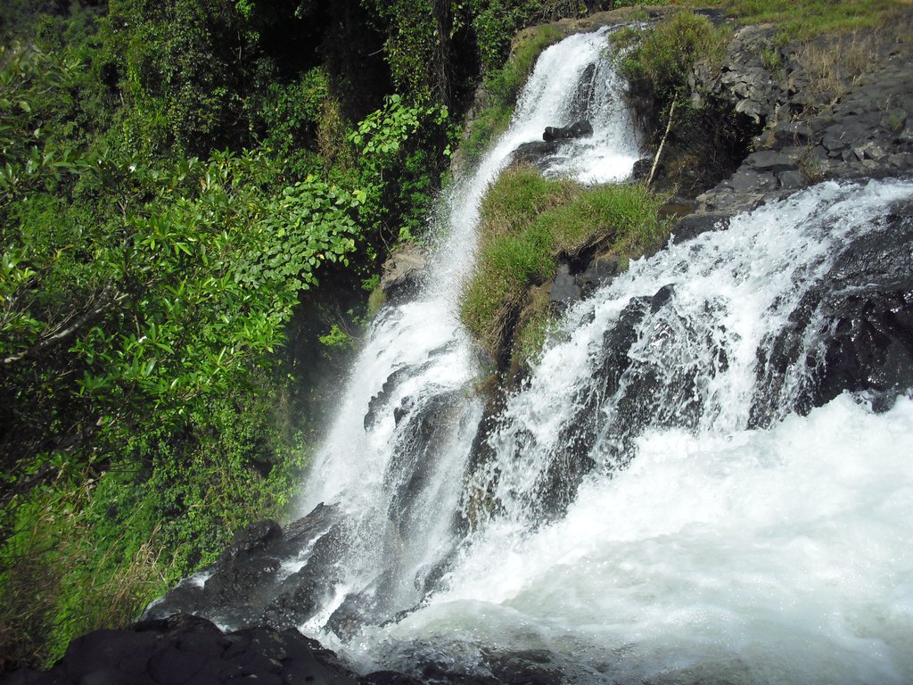 Image CIMG2320.JPG