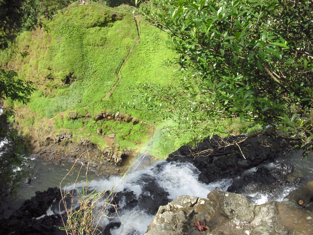 Image CIMG2324.JPG