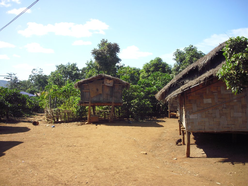 Image CIMG2341.JPG