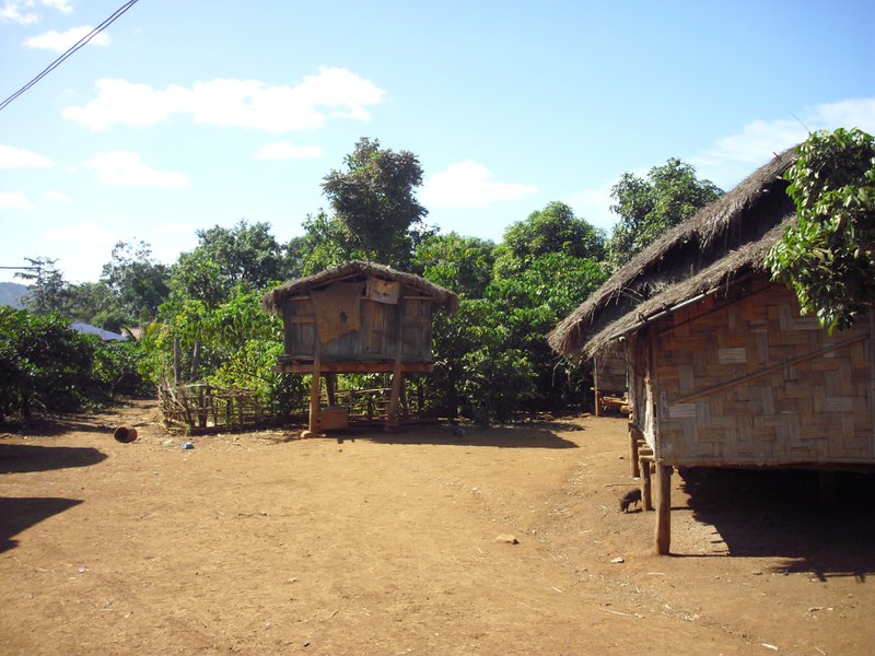 Image CIMG2341.JPG