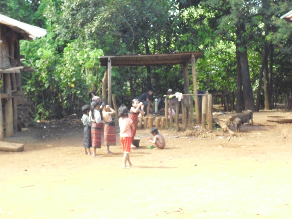 Image CIMG2348.JPG