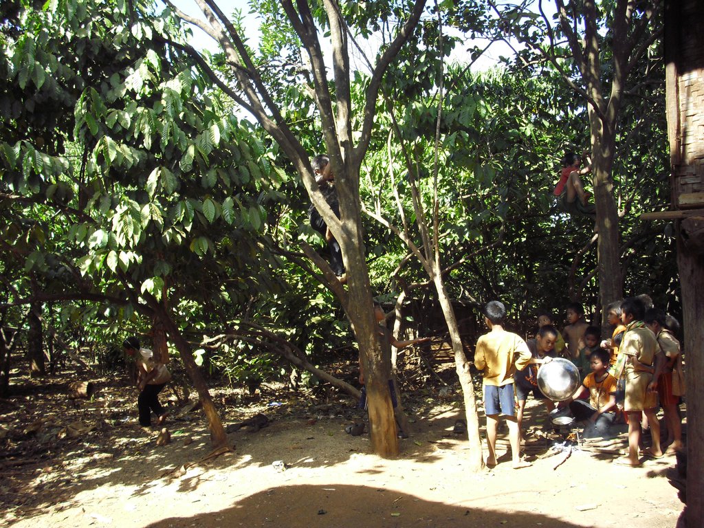 Image CIMG2354.JPG