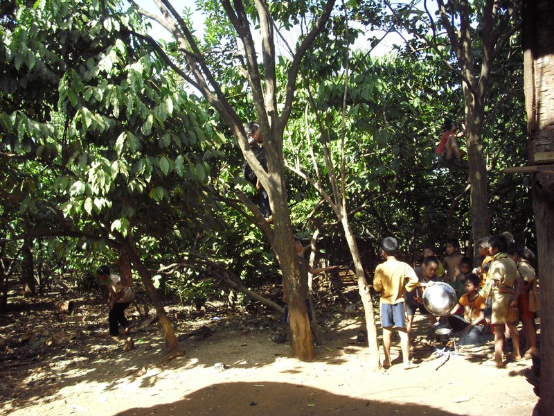 Image CIMG2354.JPG