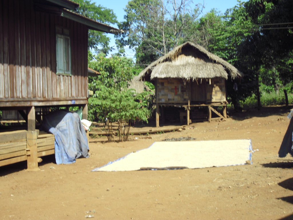 Image CIMG2357.JPG