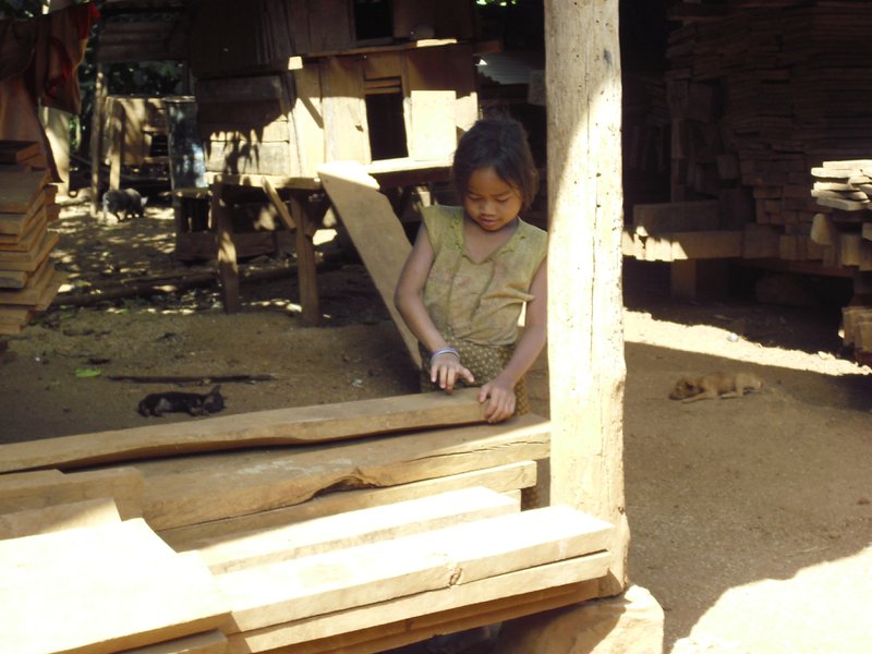 Image CIMG2358.JPG