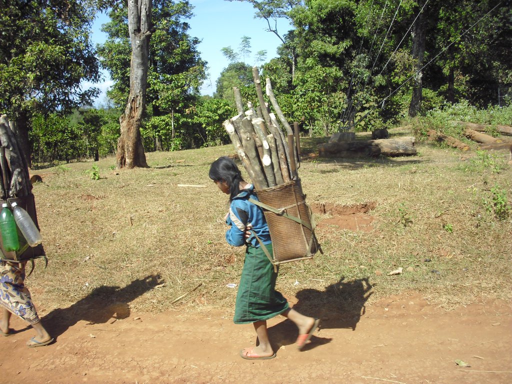 Image CIMG2373.JPG