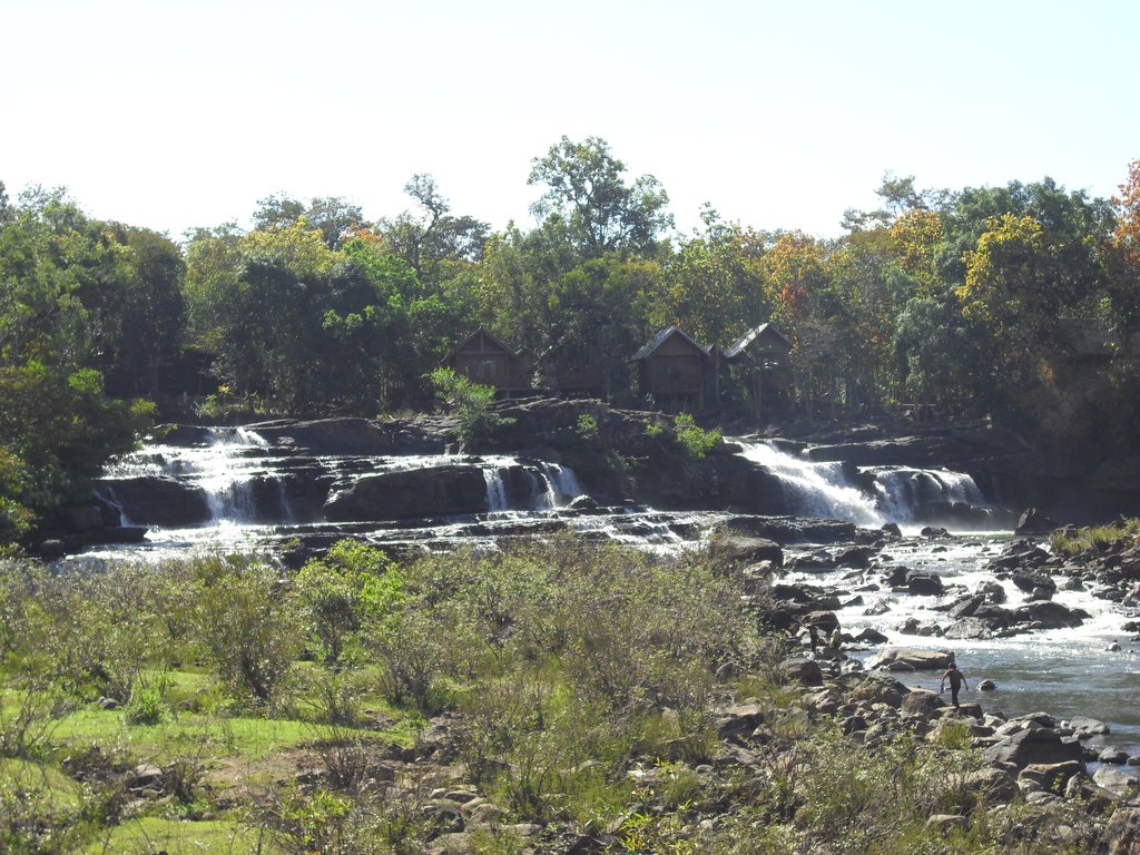 Image CIMG2379.JPG