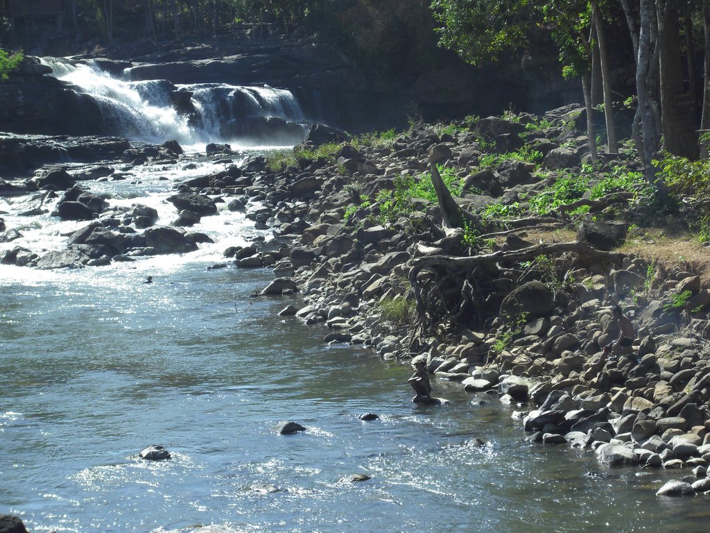 Image CIMG2381.JPG