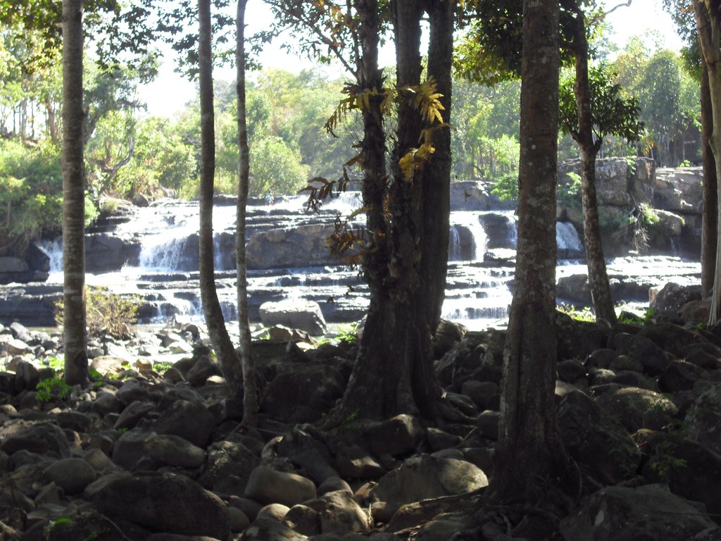 Image CIMG2383.JPG