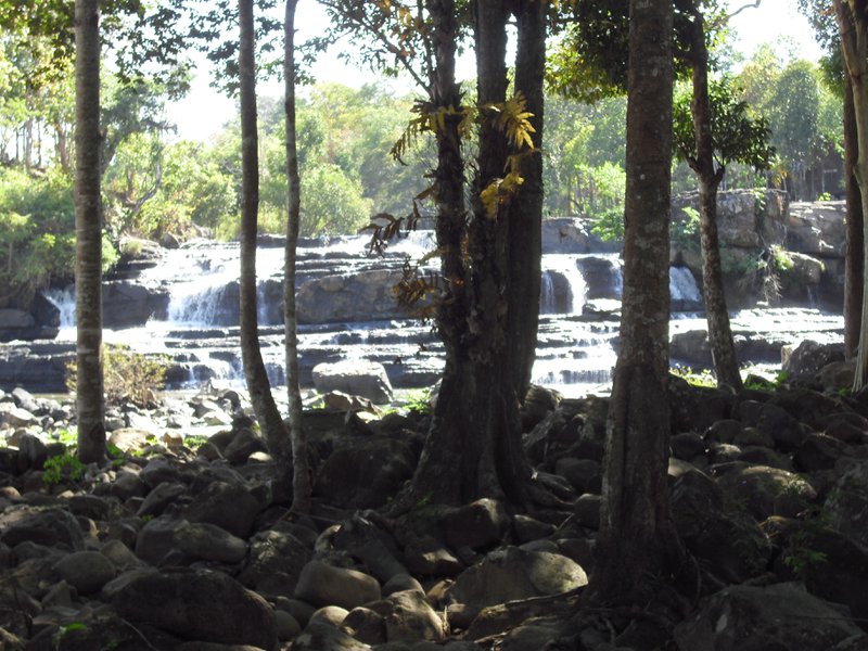 Image CIMG2383.JPG