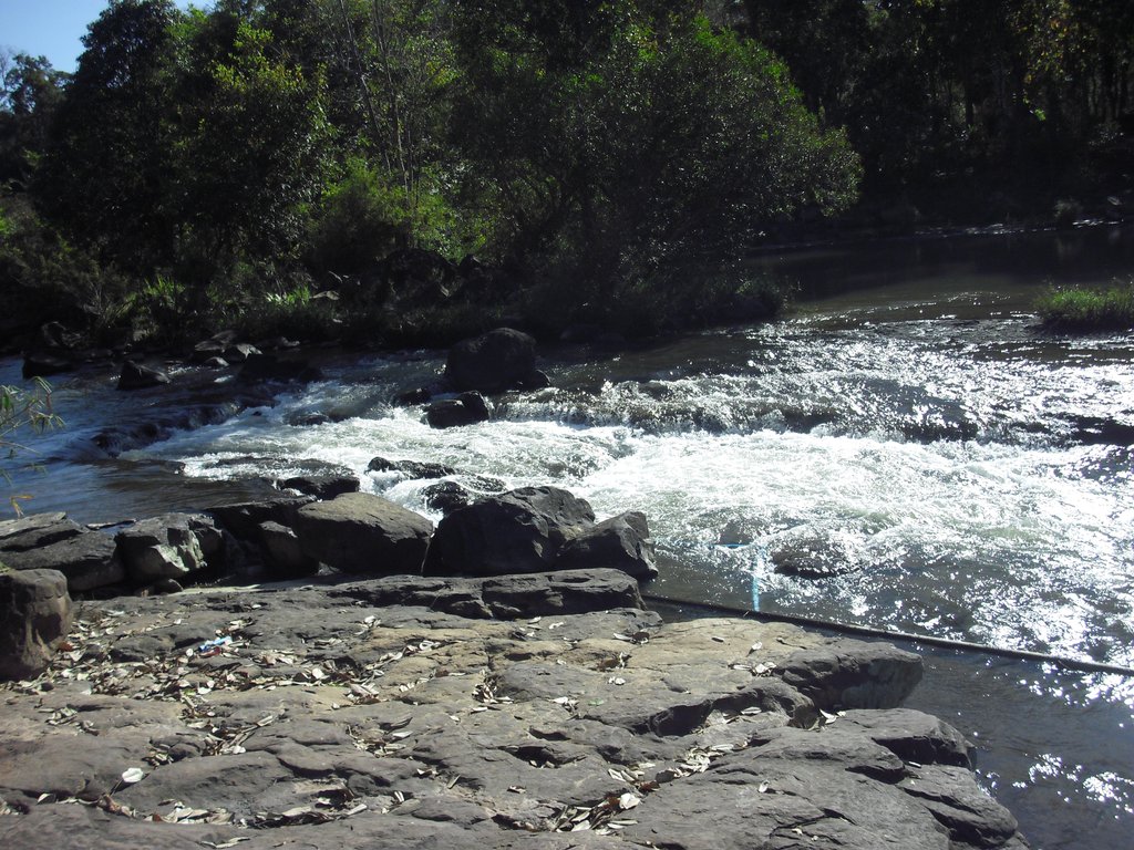 Image CIMG2394.JPG