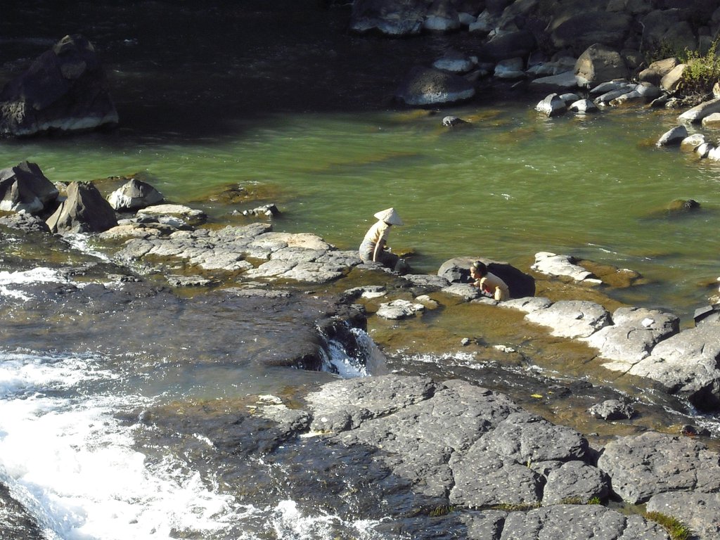 Image CIMG2397.JPG