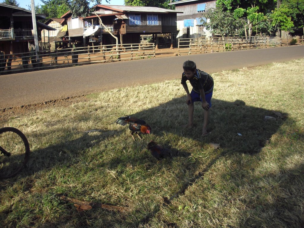 Image CIMG2402.JPG