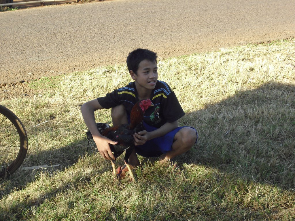 Image CIMG2403.JPG