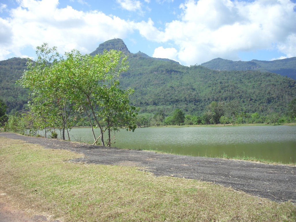 Image CIMG2431.JPG