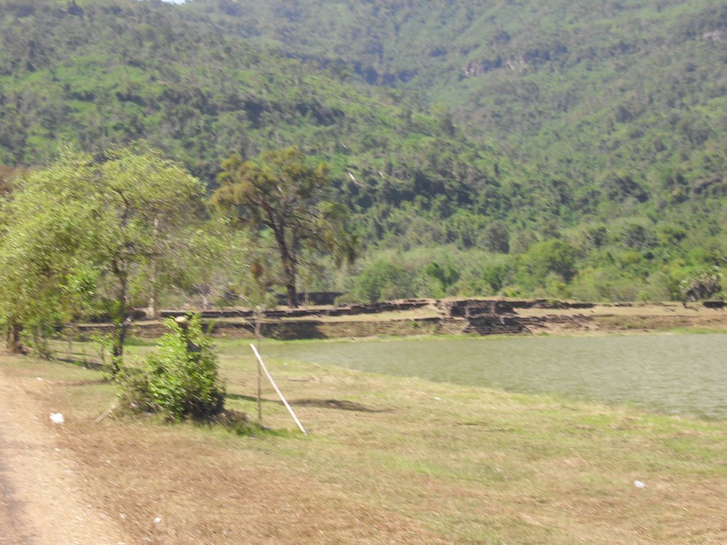 Image CIMG2432.JPG