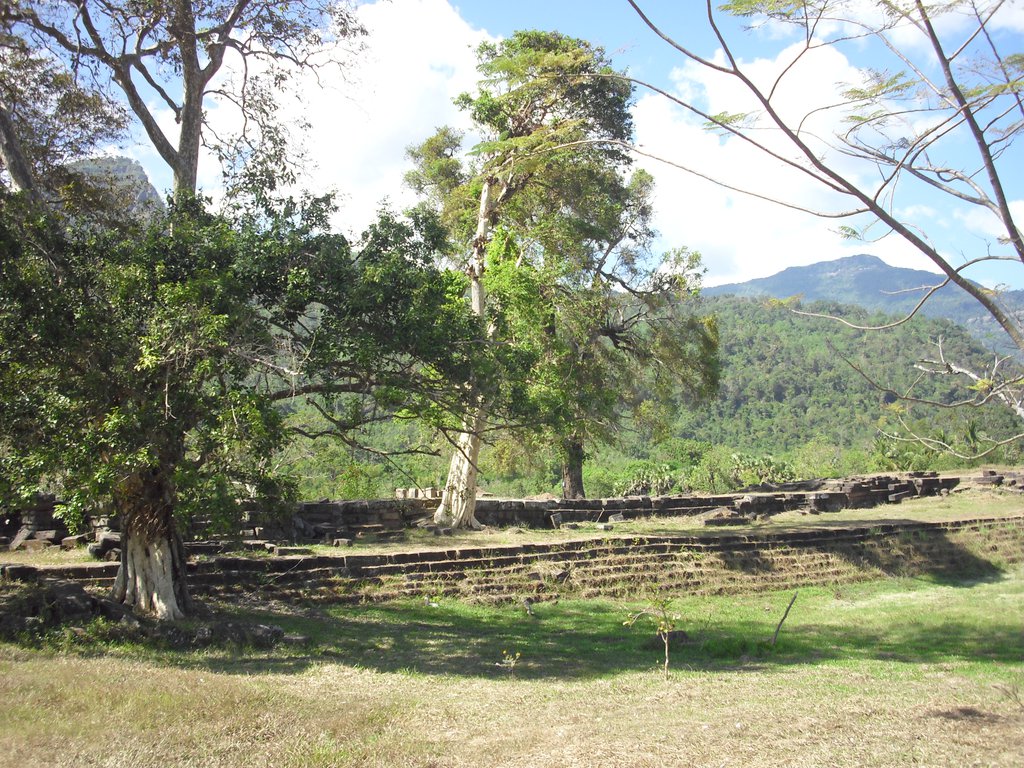 Image CIMG2433.JPG