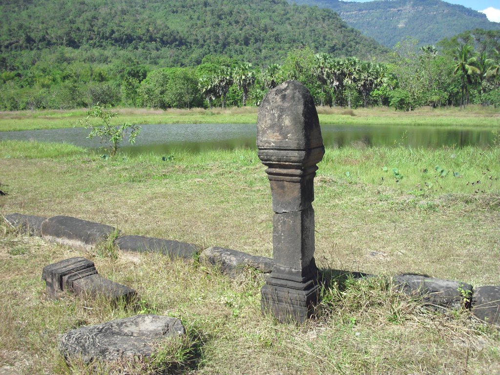 Image CIMG2437.JPG