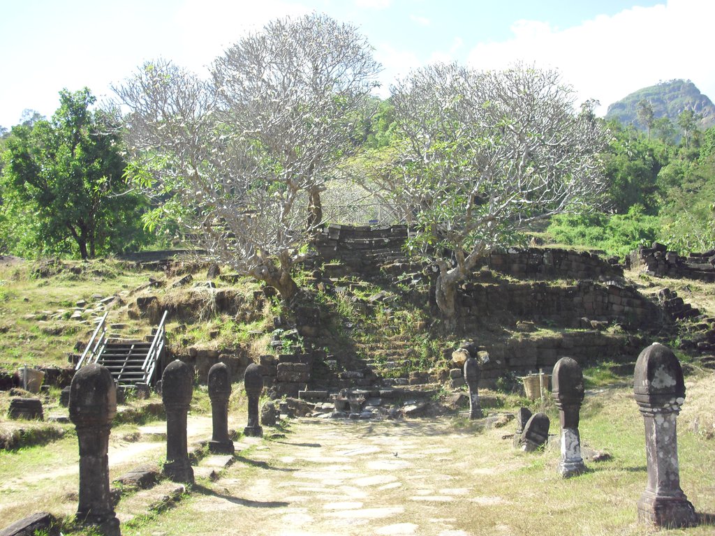 Image CIMG2456.JPG