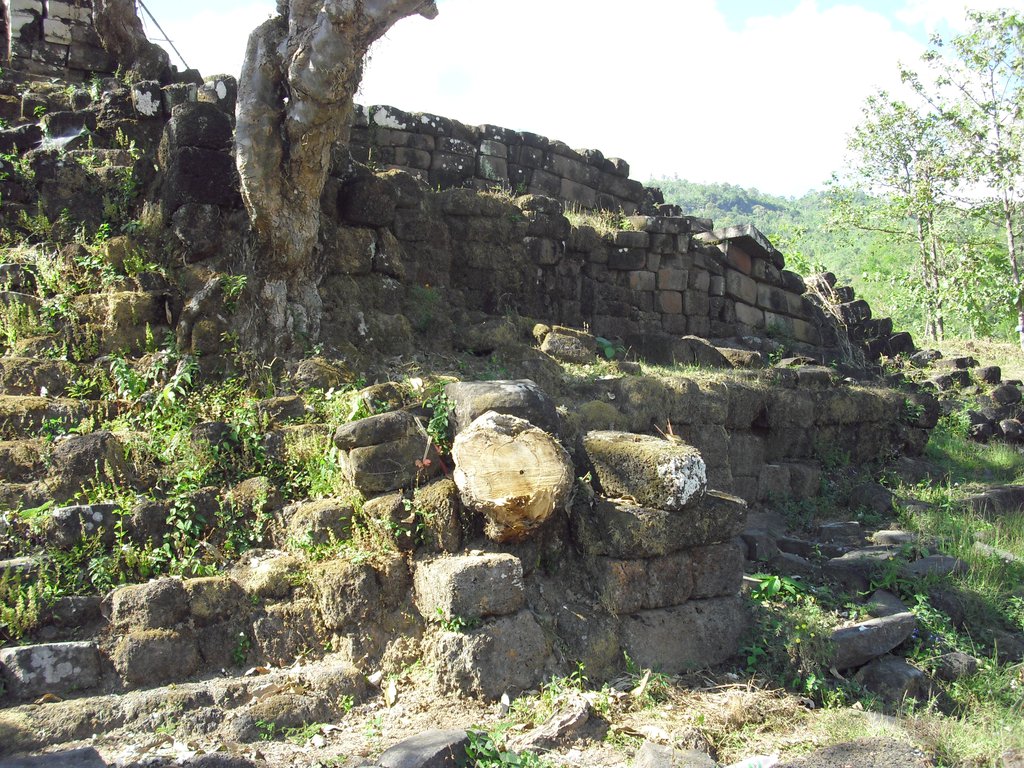 Image CIMG2457.JPG