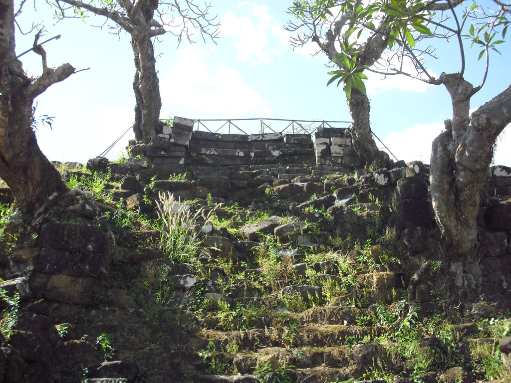 Image CIMG2458.JPG