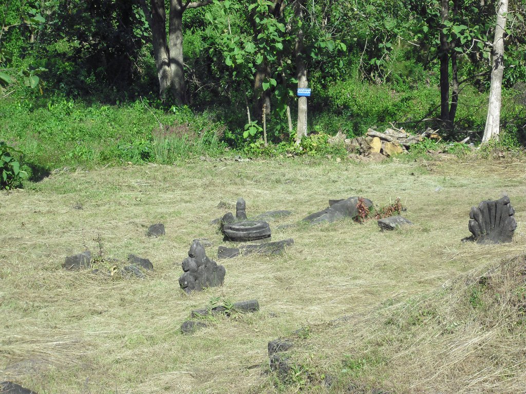 Image CIMG2465.JPG