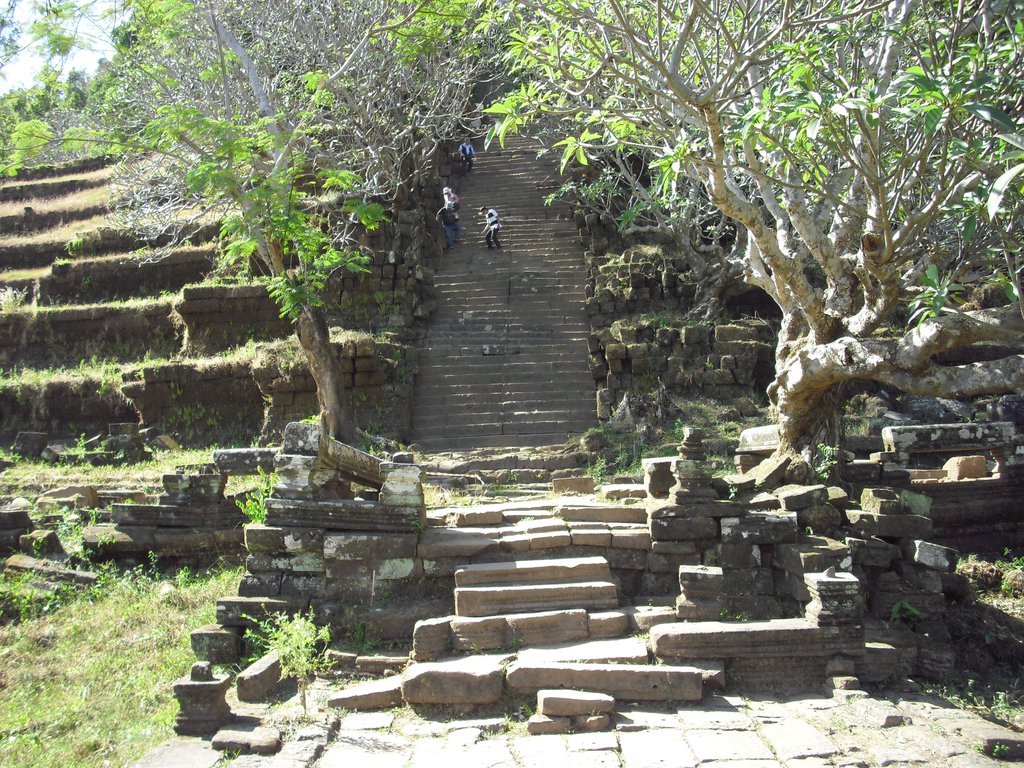Image CIMG2473.JPG