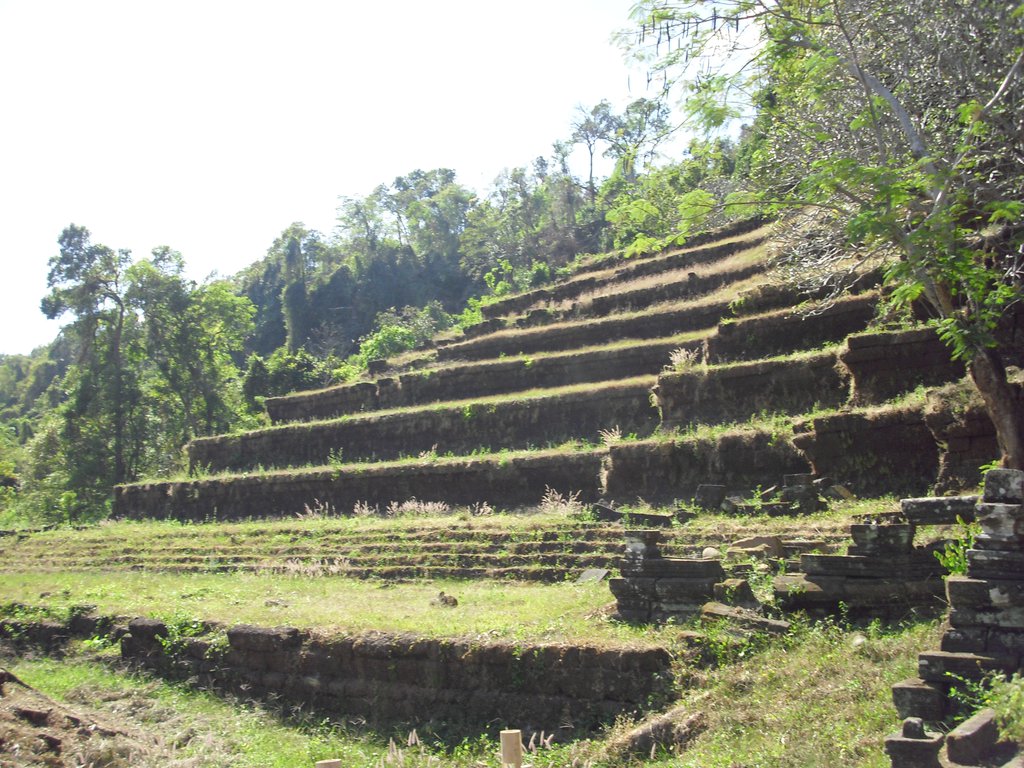 Image CIMG2474.JPG