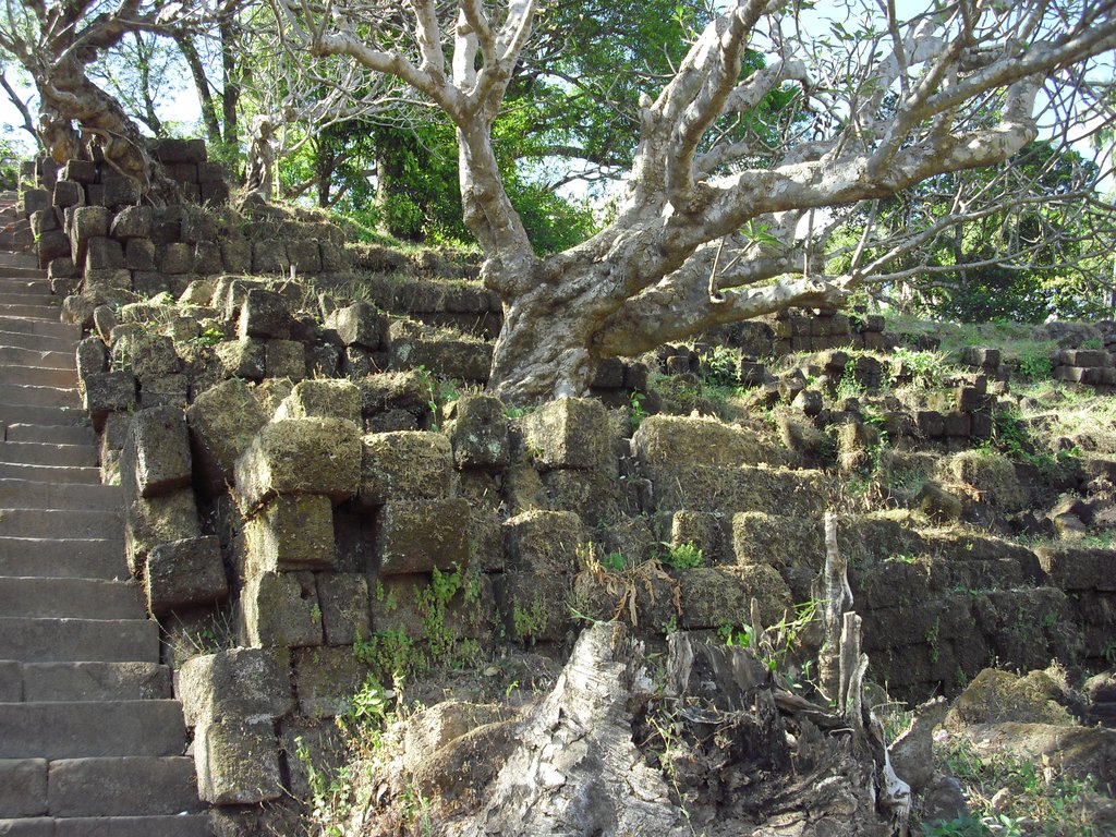 Image CIMG2475.JPG