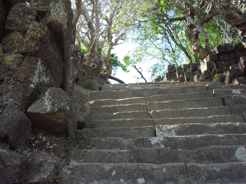 Image CIMG2477.JPG