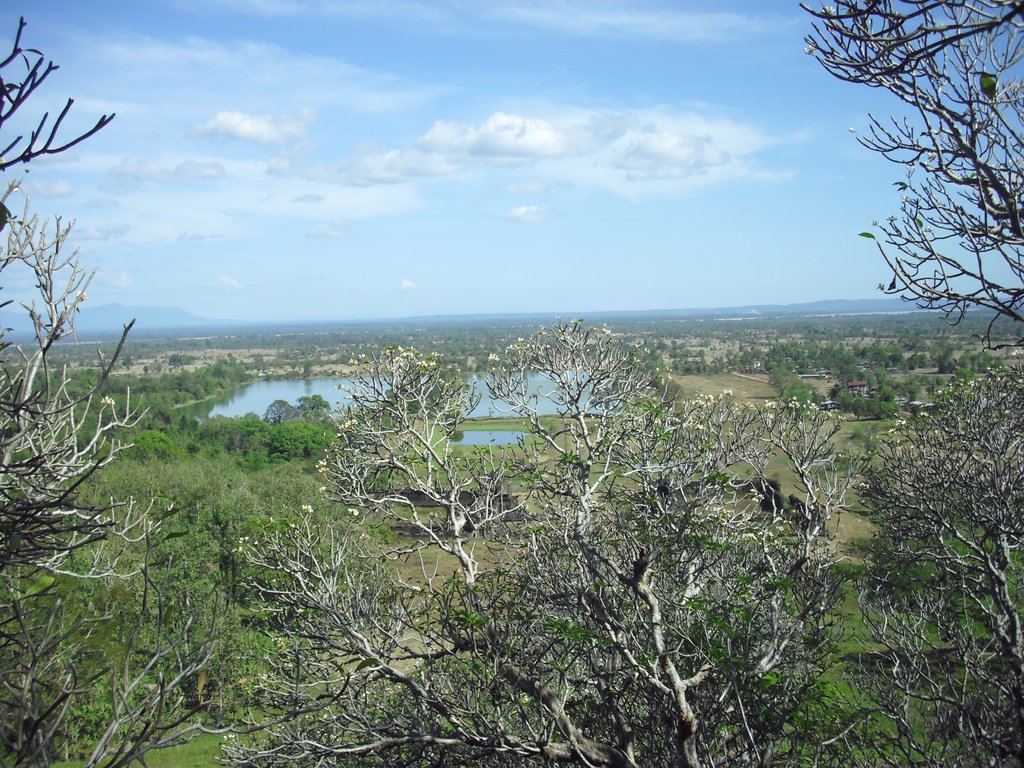 Image CIMG2478.JPG