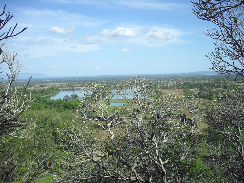 Image CIMG2478.JPG