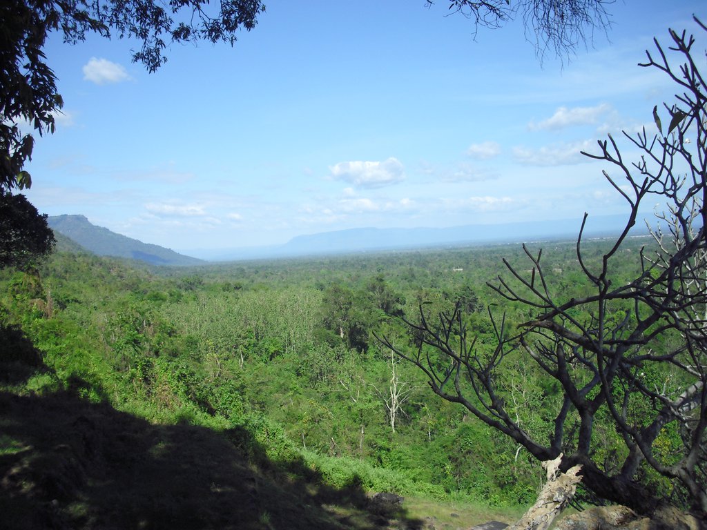 Image CIMG2479.JPG