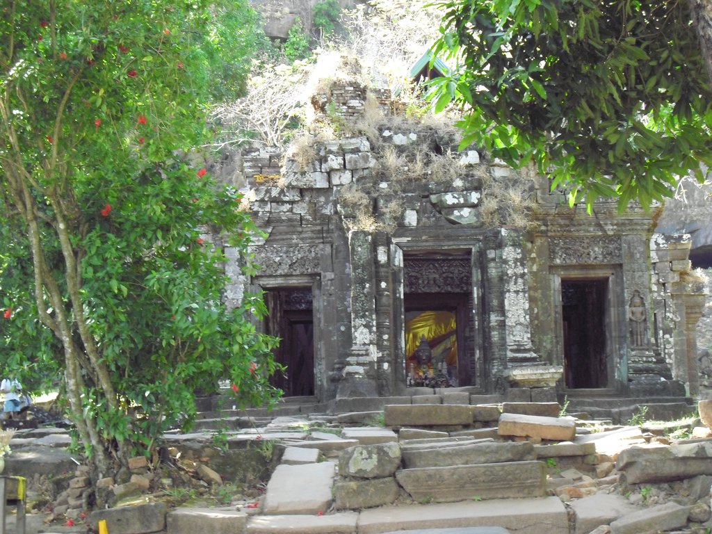 Image CIMG2481.JPG