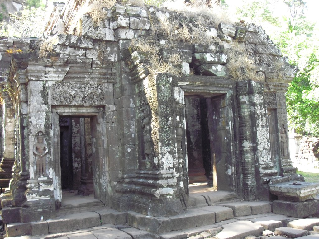 Image CIMG2482.JPG