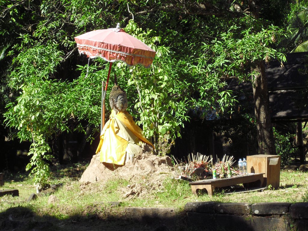 Image CIMG2483.JPG