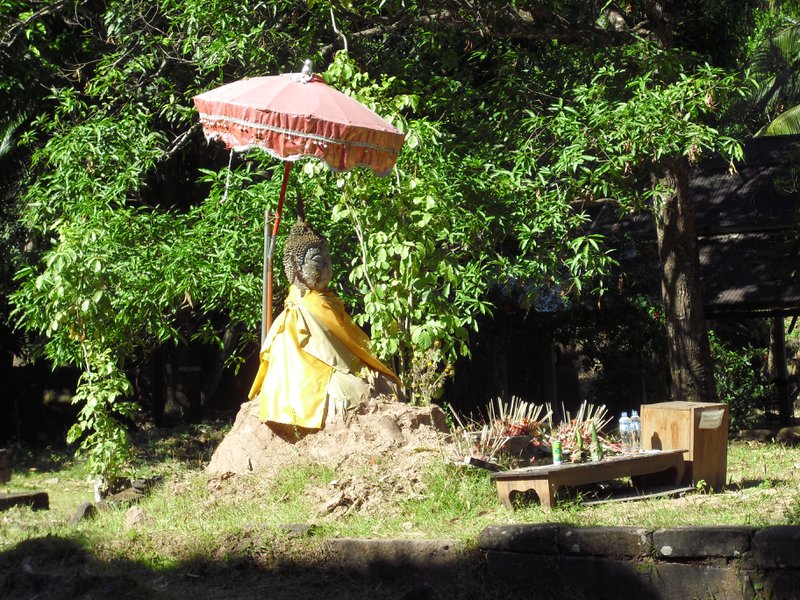 Image CIMG2483.JPG